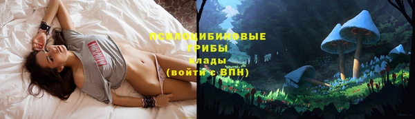 прущая мука Богданович