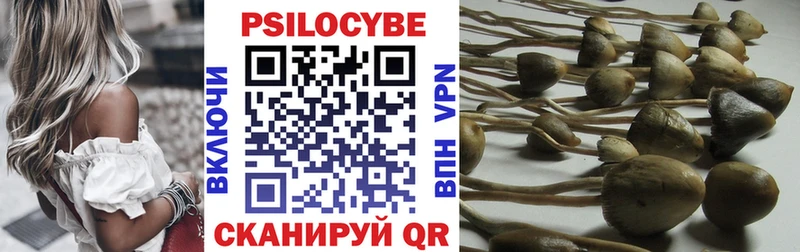 наркошоп  Красавино  блэк спрут онион  Псилоцибиновые грибы ЛСД 